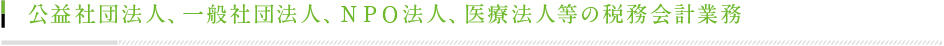 公益社団法人、一般社団法人、ＮＰＯ法人、医療法人等の税務会計業務